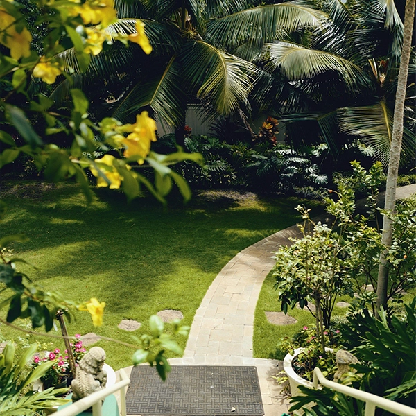 Smart, low-maintenance watering solutions to keep your garden thriving.