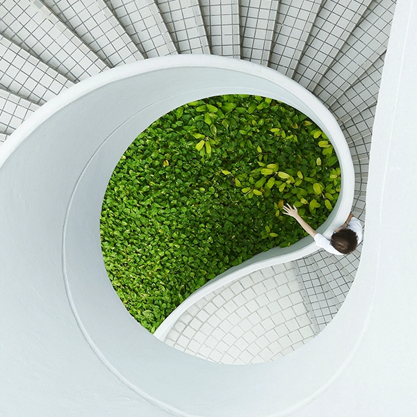 Outdoor Landscaping