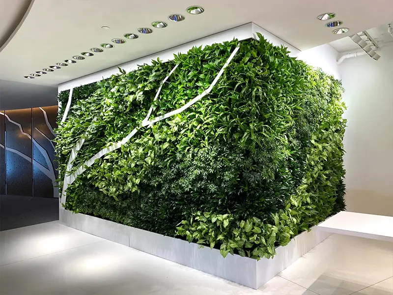 green walls & moss walls