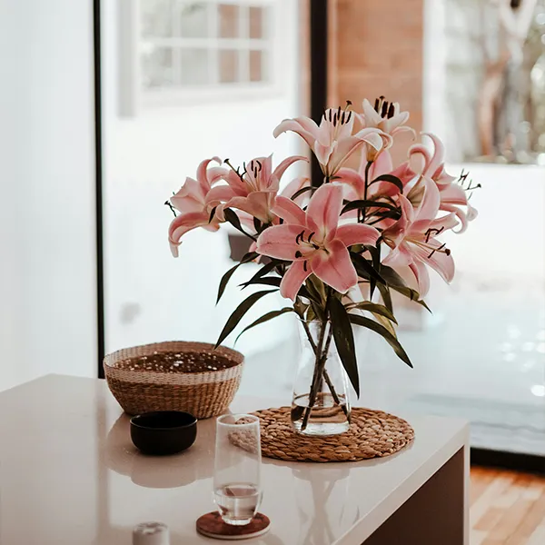 arrangements and plant rotations