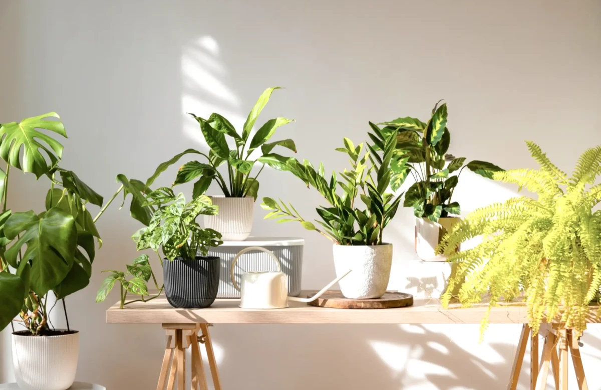 Top Outdoor Landscaping Trends in the UAE for 2025