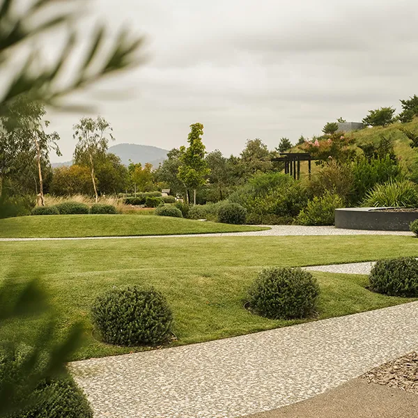 Expert care for your lawn with neat trimming and fresh seasonal planting.