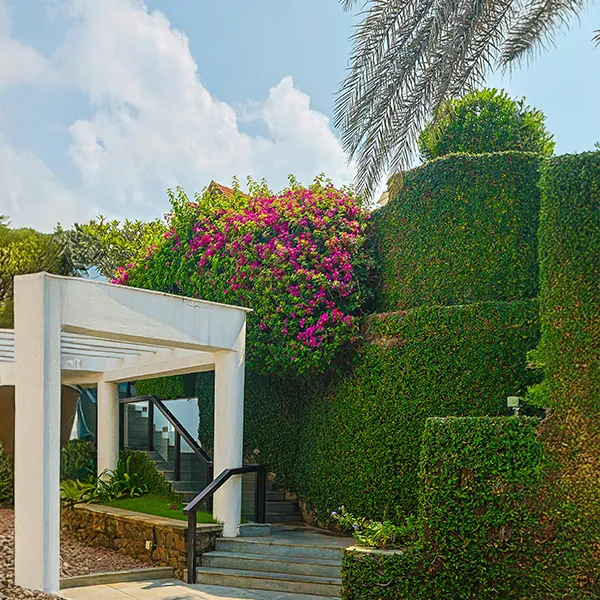 Refresh your space with modern garden renovations and stylish updates.